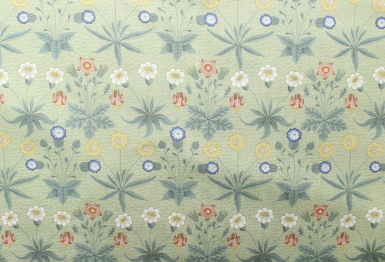 JiMorrisデイジー